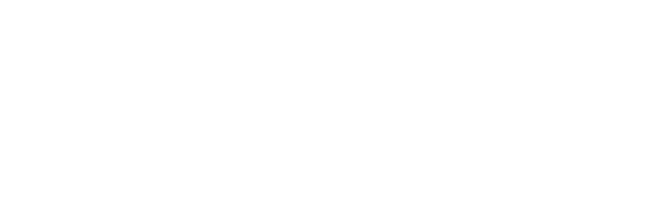 NYS CouncilontheArts Horizontal WHITE